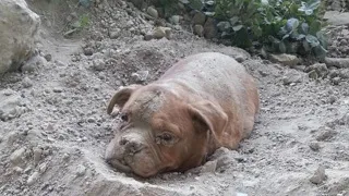 Я не знаю цих людей (людей) Я не знаю цих людей