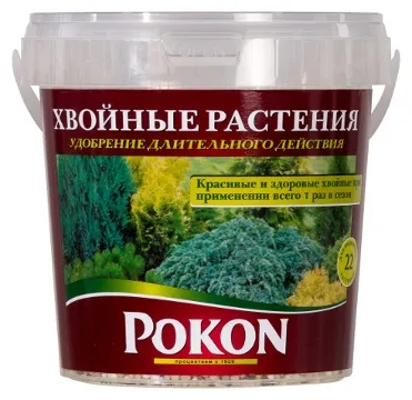 Хвойні рослини з pokon як правильно поливати і підгодовувати на