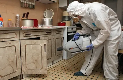 Холодний туман від клопів та відгуки про ефективність цього методу знищення паразитів (клопів) Холодний туман від клопів та відгуки про ефективність цього методу знищення паразитів