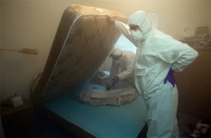 Холодний туман від клопів та відгуки про ефективність цього методу знищення паразитів (туман) Холодний туман від клопів та відгуки про ефективність цього методу знищення паразитів
