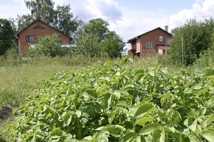 Я не використовую ділянку (власник ділянки) Я не використовую ділянку