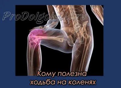 Ходьба на колінах - даоська практика, східна медицина, омолодження і довголіття (практика) Ходьба на колінах - даоська практика, східна медицина, омолодження і довголіття
