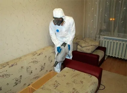 Холодний туман від клопів та відгуки про ефективність цього методу знищення паразитів (туман) Холодний туман від клопів та відгуки про ефективність цього методу знищення паразитів