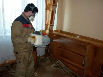 Холодний туман від клопів та відгуки про ефективність цього методу знищення паразитів (клопів) Холодний туман від клопів та відгуки про ефективність цього методу знищення паразитів