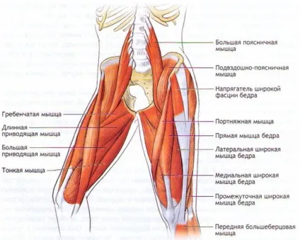 Ходьба на колінах користь чи шкода