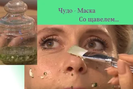 Зелений щавель корисні властивості і протипоказання (корисні) Зелений щавель корисні властивості і протипоказання