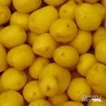 До чого сниться цибуля ріпчаста