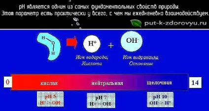 Кислотно-лужний баланс організму (ph баланс) або кислотно-лужну рівновагу (КЩР), шлях до (визначення кислотно-лужного балансу) Кислотно-лужний баланс організму (ph баланс) або кислотно-лужну рівновагу (КЩР), шлях до