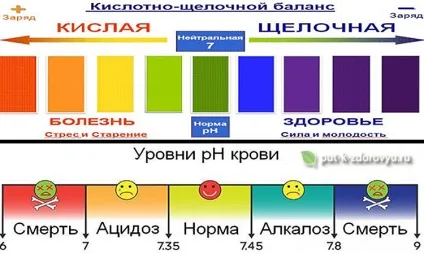 Кислотно-лужний баланс організму (ph баланс) або кислотно-лужну рівновагу (КЩР), шлях до (підтримання кислотно-лужної рівноваги) Кислотно-лужний баланс організму (ph баланс) або кислотно-лужну рівновагу (КЩР), шлях до