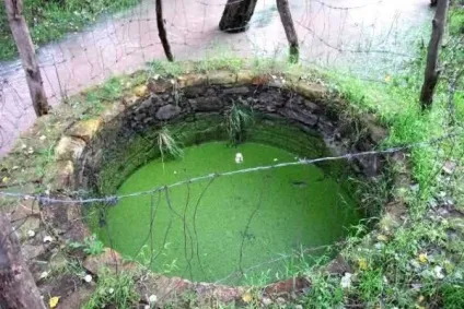 До чого сниться колодязь з водою (чистої або брудної), тлумачення в залежності від статі сновидіння і його (чистої) До чого сниться колодязь з водою (чистої або брудної), тлумачення в залежності від статі сновидіння і його