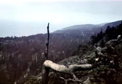 Кирилиця, де насправді знаходиться острів забіяка (забіяка) Кирилиця, де насправді знаходиться острів забіяка