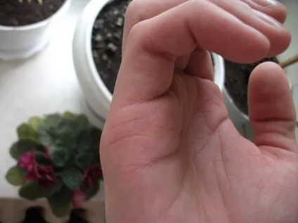 До чого сниться мочитися