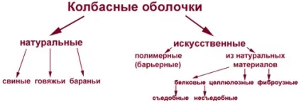 Класифікація оболонок