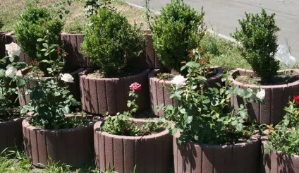 Клумба бетонна в москві від виробника - найкраща ціна! (Бетонні клумби квітів) Клумба бетонна в москві від виробника - найкраща ціна!