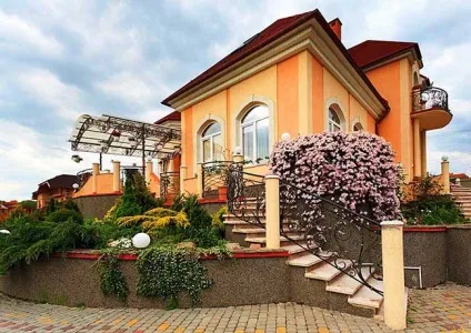 Клематиси в ландшафтному дизайні (45 фото) розкішну прикрасу двору