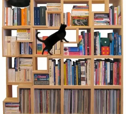 Книжкова шафа своїми руками схеми, креслення та поради з монтажу, будівельний портал (креслення) Книжкова шафа своїми руками схеми, креслення та поради з монтажу, будівельний портал