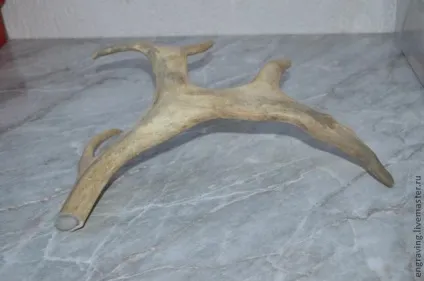 Кільце з рогу оленя - ярмарок майстрів - ручна робота, handmade (роги) Кільце з рогу оленя - ярмарок майстрів - ручна робота, handmade