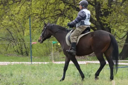 Кінний спорт пробіги