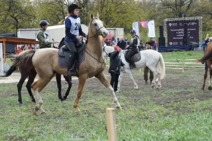 Кінний спорт пробіги