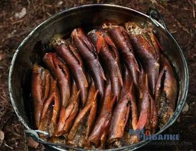 Коптильня своїми руками (з відра), майстерня рибалки (копчення риби) Коптильня своїми руками (з відра), майстерня рибалки