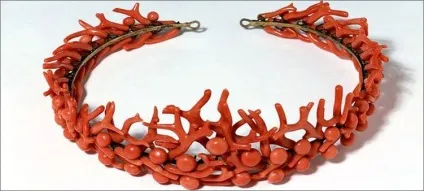 Корал це тварина або рослина