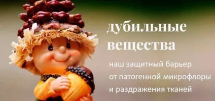 Кора дуба в гінекології - спринцювання при молочниці (спринцювання) Кора дуба в гінекології - спринцювання при молочниці