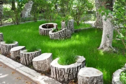 Корчі в саду або як створити Рутар, біля будинку (корчі) Корчі в саду або як створити Рутар, біля будинку