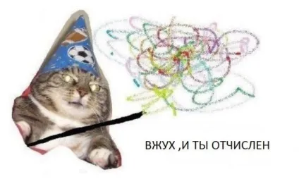Кот вжух в чому прикол чий кіт де дивитися все меми з котом вжух (мем) Кот вжух в чому прикол чий кіт де дивитися все меми з котом вжух