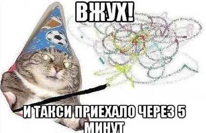 Кот «вжух» став героєм мемів звідки взявся кіт-чарівник і чому він такий популярний - останні (став) Кот «вжух» став героєм мемів звідки взявся кіт-чарівник і чому він такий популярний - останні