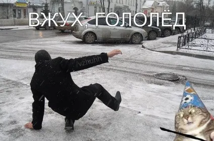 Кот вжух в чому прикол чий кіт де дивитися все меми з котом вжух (vkontakte) Кот вжух в чому прикол чий кіт де дивитися все меми з котом вжух