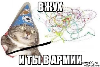 Кот вжух в чому прикол чий кіт де дивитися все меми з котом вжух (жарт) Кот вжух в чому прикол чий кіт де дивитися все меми з котом вжух