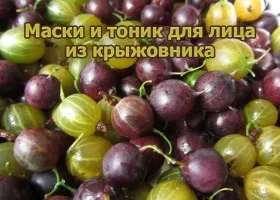 Агрус корисні властивості і шкода, склад і калорійність (варення з агрусу) Агрус корисні властивості і шкода, склад і калорійність