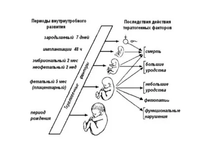 Кт при вагітності можна, до яких наслідків (цей термін може) Кт при вагітності можна, до яких наслідків