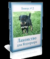 Курс дресирування ягдтерьера в домашніх умовах