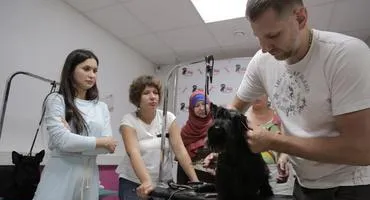 Курси грумінг в москві - навчання стрижці собак і кішок і догляду за ними - школа грумінг міні