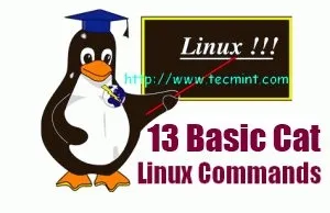 13 Основних прикладів команди СAT в linux
