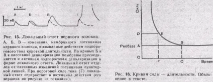 002 Збудливі тканини