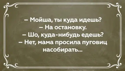15 Листівок про єврейську мамі, яка точно знає, чого хочуть її діти - цікаво і весело!