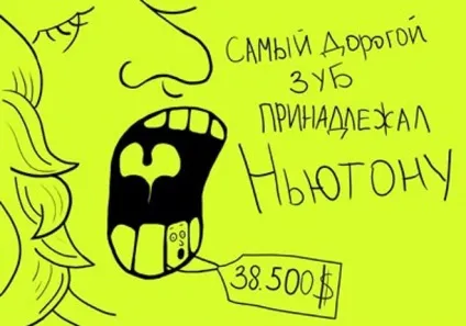 10 Цікавих фактів про зубах, популярна медицина (зуби) 10 Цікавих фактів про зубах, популярна медицина