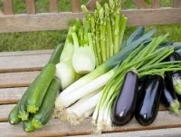 6 Продуктів, які підвищують імунітет, харчування і дієти, кухня, аргументи і факти