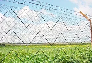 3 Віда периметральної охоронної сигналізації основні особливості, пристрій, переваги і (охоронної) 3 Віда периметральної охоронної сигналізації основні особливості, пристрій, переваги та