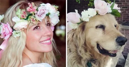 24 Фотографії людей, які доводять, що всі ми трохи собаки