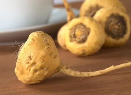 50 Кращих продуктів для чоловіків (ймовірність розвитку раку) 50 Кращих продуктів для чоловіків