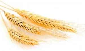 8 Харчових продуктів, що викликають алергію, журнал здоров'я (Смак-ні за-ме-ні-ті-ли При-го-товь-ті) 8 Харчових продуктів, що викликають алергію, журнал здоров'я