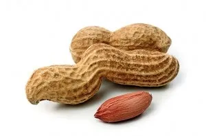 8 Харчових продуктів, що викликають алергію, журнал здоров'я (де-ли-ка-тес-ні сор-та ма-са) 8 Харчових продуктів, що викликають алергію, журнал здоров'я