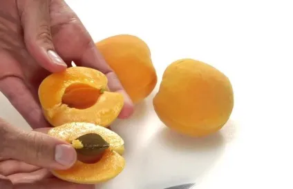 Абрикосові кісточки користь і шкода для організму людини (організму) Абрикосові кісточки користь і шкода для організму людини