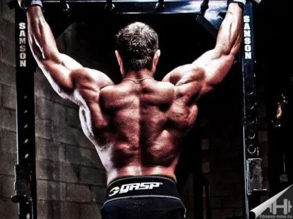 7 Принципів як зробити м'язи сильніше - fitness зараз (м'язи) 7 Принципів як зробити м'язи сильніше - fitness зараз