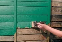 Латексна фарба - особливості та технологія нанесення (фарба) Латексна фарба - особливості та технологія нанесення