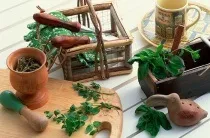 Лікування пітливості голови методи, способи, необхідність, немає пітливості (голови) Лікування пітливості голови методи, способи, необхідність, немає пітливості