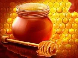 Лікування варикозу медом (медом) Лікування варикозу медом